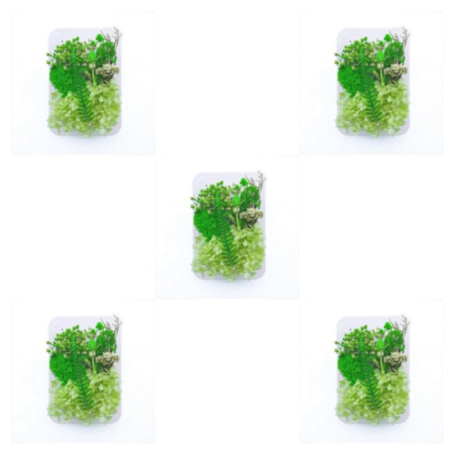 Toystoory Plantas de flores secas Fabricación en seco para funda de teléfono móvil DIY Hogar Boda Epoxi Colgante Anillo Accesorio type8 Type1 NO1