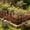 Multicolor#23604, variant on Outdoor Decorative Wrought Iron Garden Barrier Fence Panels Set, Rust-Effect Multicolor Floral, 6 Panels with Ground Spikes, 30 x 20 cm