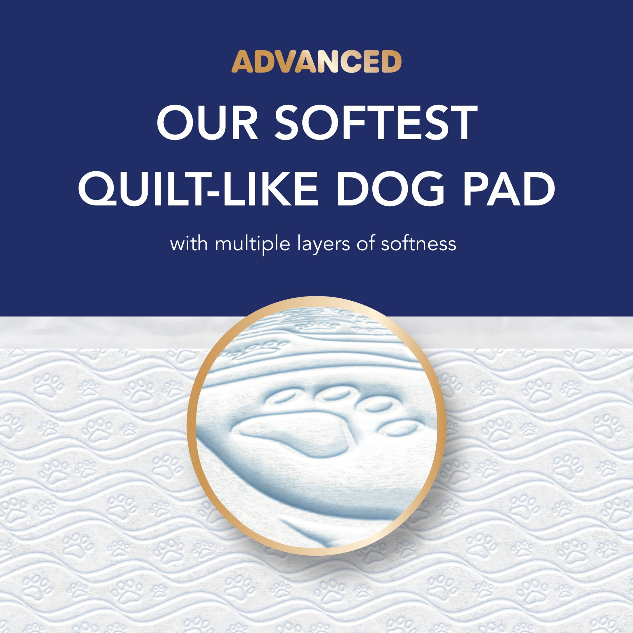 Scott Pet Guard Advanced Dog Pads - Dog Training Pee Pads for Large & Extra Large Dogs - Up to 16 Hour Absorbency with Odor Control - Softest Quilted Dog Pee Pads - XXL - 36" x 36" - 40 Pack