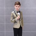 thumbnail image 4 of Conjunto de vestido Formal para niños, traje de flores de Color degradado, traje de boda de pasarela, Blazer, chaleco, pantalones, atuendo de 3 piezas, 4 of 5