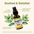 thumbnail image 6 of Herbs Etc. Singer's Saving Grace Honey Lemon - Herbal Remedy Spray Aids Throat Comfort & Health - Soothing Hydrating Throat Support - Alcohol Throat Relief Spray with Licorice - 1 fl oz (75 Servings), 6 of 7