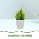 thumbnail image 5 of Bonsái artificial de 3 piezas, plantas falsas para decoración de interiores, pequeñas plantas artificiales para escritorio, adorno verde realista, decoración artificial, 5 of 8