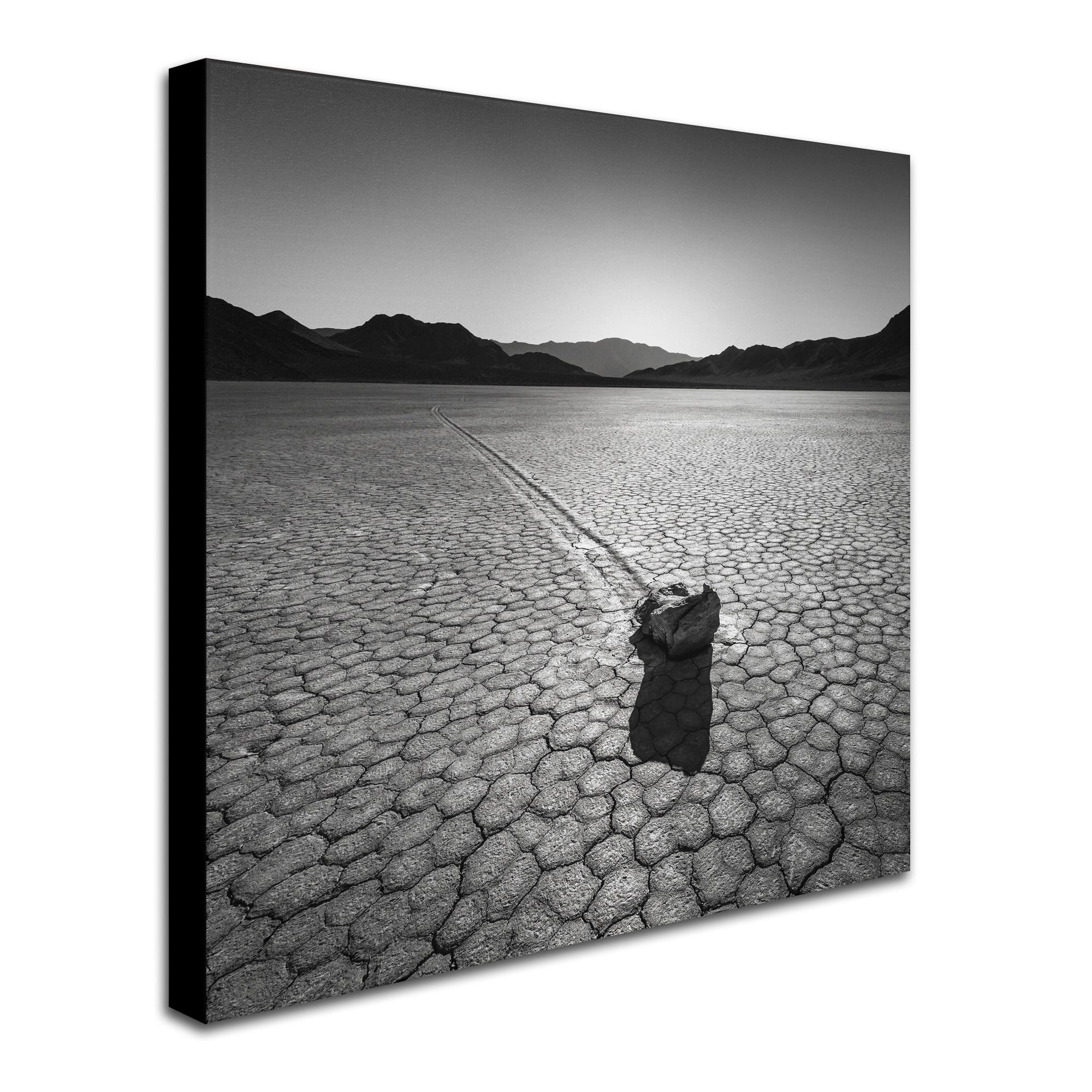 Trademark Fine Art Dave MacVicar 'Sailing Stone' 24 x 24 (ALI0876-C2424GG)