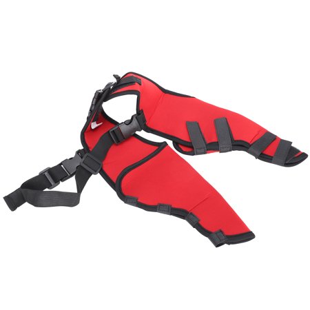 Fdit Sanitary Washable Female Dog Shorts Puppy Physiological Pants Dog