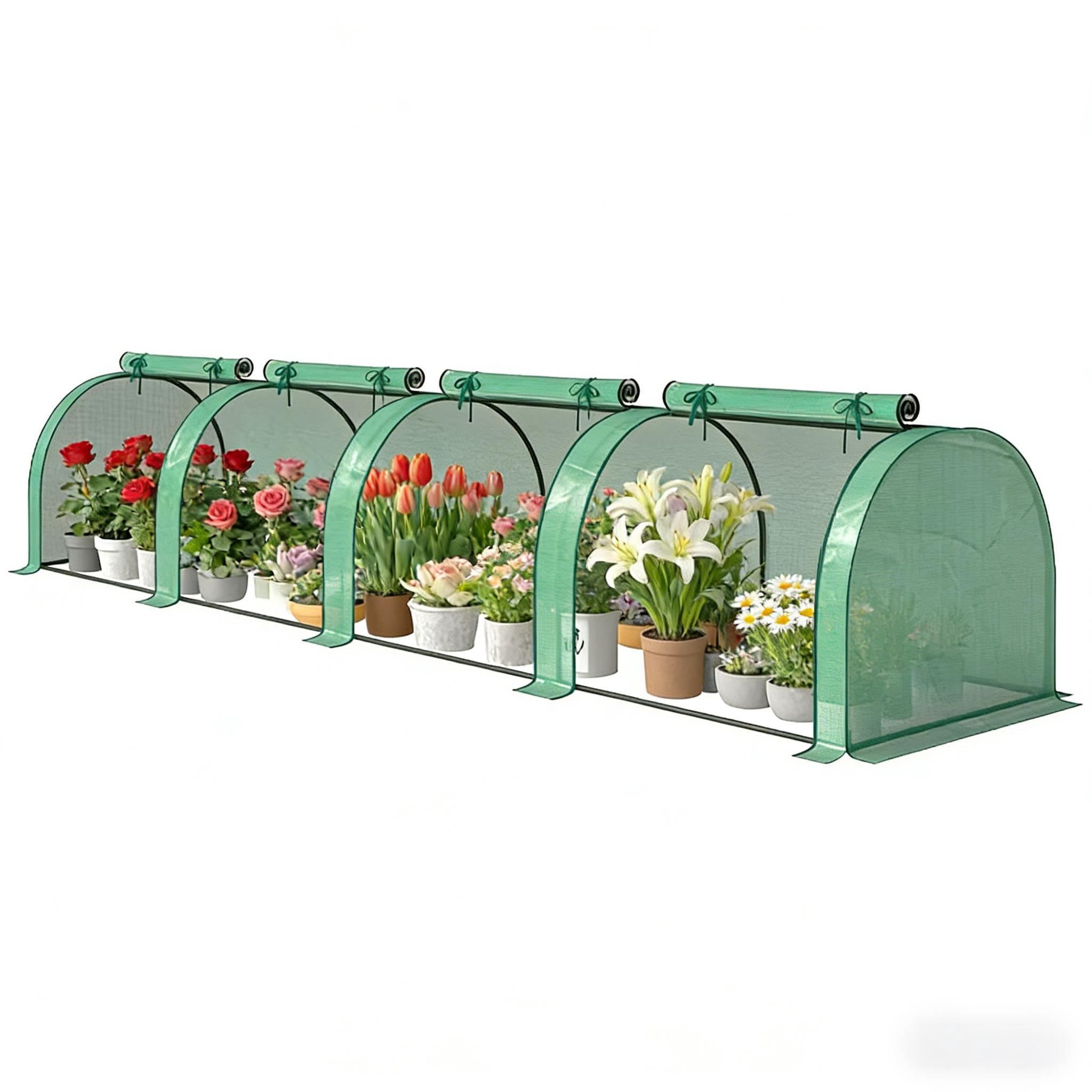 Mini Greenhouse