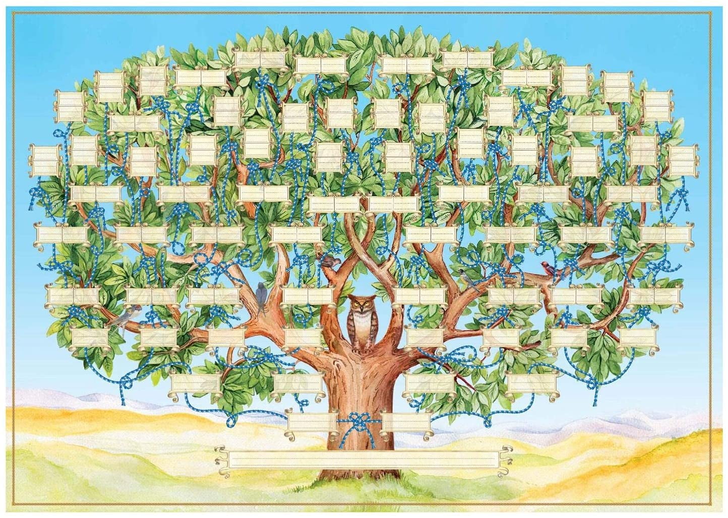 GRIRIW 1pc Family Tree Diagram Family Tree Charts to Fill in Genealogy  Diagram Gifts for Baby Family Tree Poster Family History Chart Men Gifts  for
