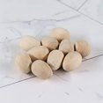 thumbnail image 3 of 12 piezas Adornos con forma de huevo de pájaro Juguetes para pintar con huevo de pájaro en blanco Huevo de pájaro de madera, 3 of 5
