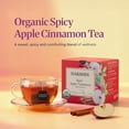 thumbnail image 5 of Dakshin Spicy Apple Cinnamon Black Tea – Bold Sweet Flavor, Naturally Caffeinated, 16 Bags, 5 of 6