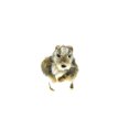 thumbnail image 2 of Groundhog Marmot Soft Stuffed Realistic Plush Animal, Gift, Educational Toy 10" F1968 B323, 2 of 10