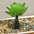 thumbnail image 2 of Coofit Mini Artificial Succulent DIY - Faux Succulent Plant Plastic Greenery Decoration, 2 of 3