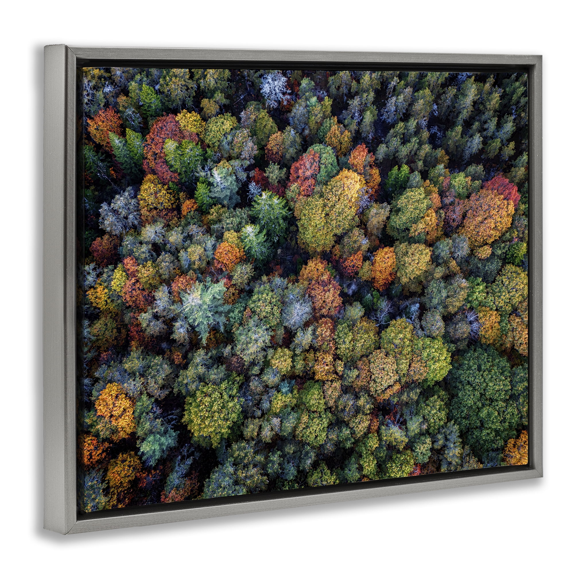 Stupell Industries Aerial View Autumnal Foliage Landscape & Nature Photography Gray Floater Framed Canvas Art Print Wall Art, 21 x 17