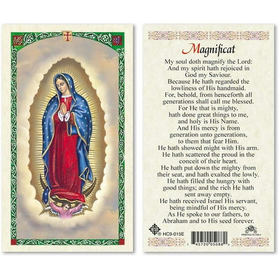 Prayer to Our Lady of Guadalupe Magnificat Laminated Prayer Cards - Pack of 25- English