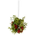 thumbnail image 3 of Ornativity Multi-color Plastic Mistletoe Ball Glitter Hanging Decorative Accent Ornament, with Berries 5", 3 of 8