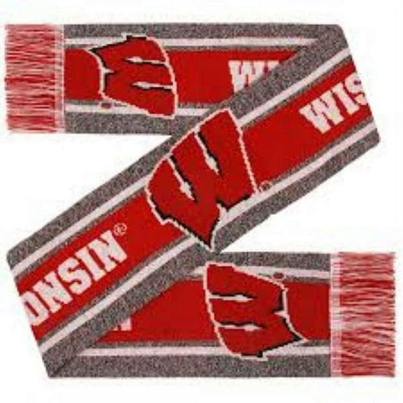 FOCO NCAA Wisconsin Badgers Gray Big Logo Scarf
