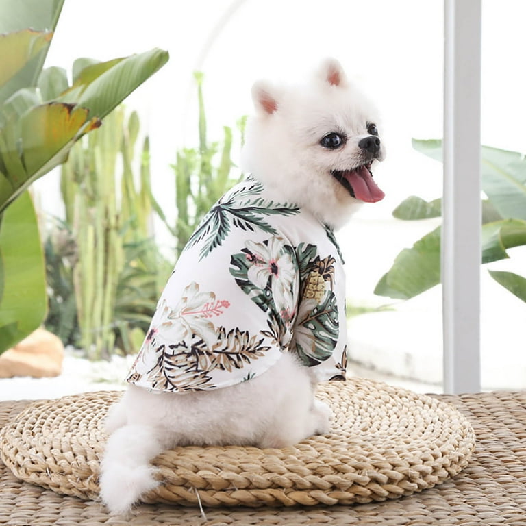 Girl dog sweaters hotsell