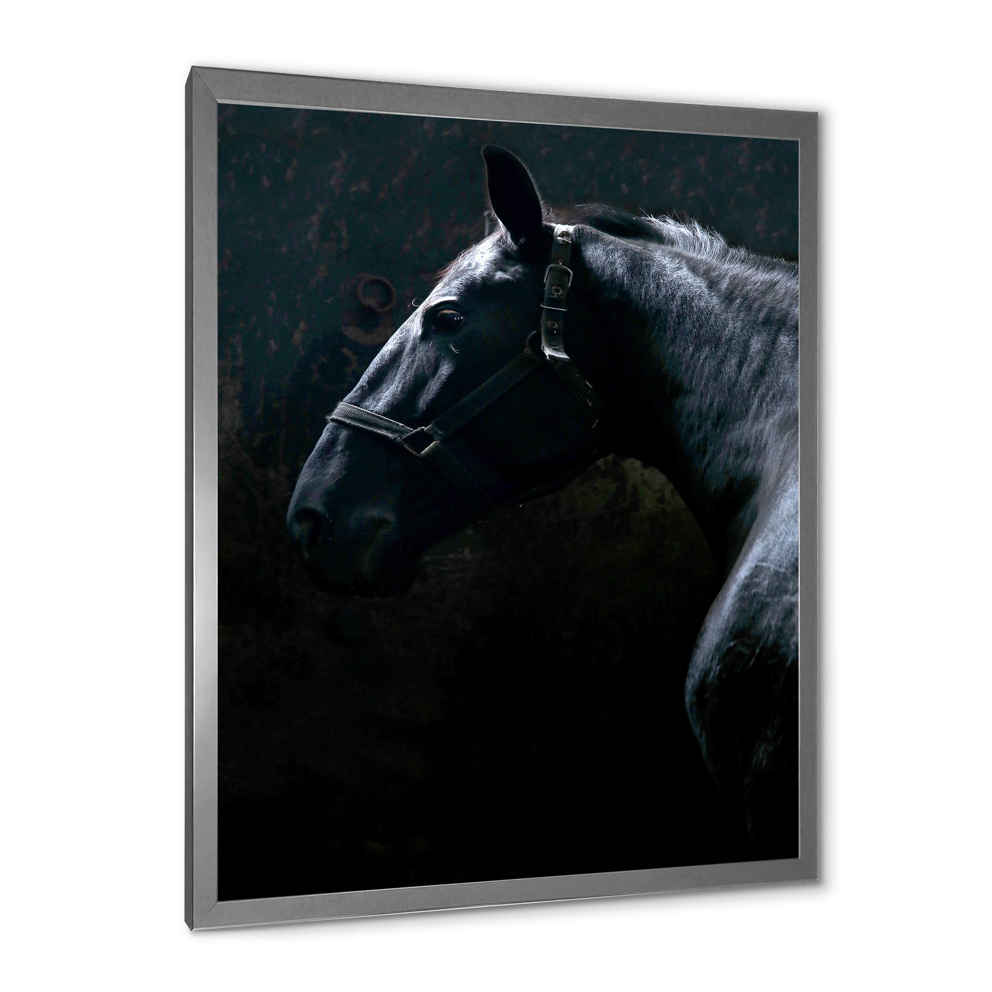 Designart 'Close Up Of Thoroughbred Nonius Stallion Horse II' Farmhouse Framed Art Print