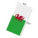 thumbnail image 3 of Pañuelos para el cuello con la bandera nacional de los aficionados al fútbol del mundo, bufandas sin costuras para hombres y mujeres, España, Francia, Corea, México y Alemania, 3 of 5