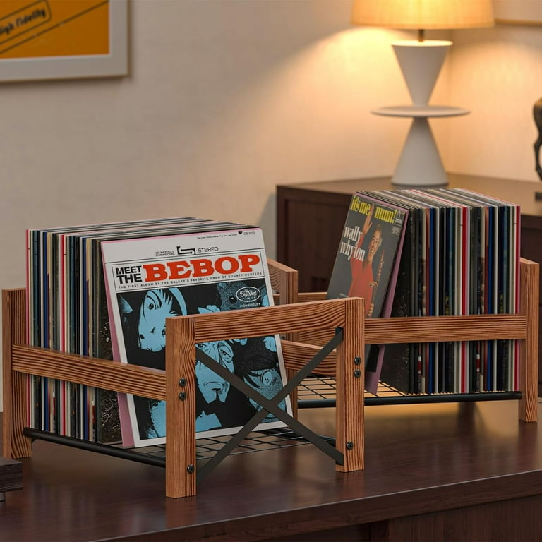 X-cosrack Vinyl Record Holder,Fits 7” -12” Records,Store up