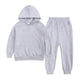 thumbnail image 1 of Sudadera Para Niños Pequeños, 2 Uds., Chándales Deportivos Para Niños, Jersey De Manga Larga, Sudaderas Con Capucha, Pantalones De Chándal, Traje De Otoño Invierno Gris Odeerbi LM103-85, 1 of 9