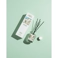 thumbnail image 4 of Elle Cadeaux Reed Diffuser Morning Jasmine Scent with Sticks, Floral Essential Oil Home Fragrance, 6oz, 4 of 7
