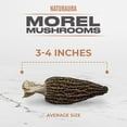 4 oz of Premium Whole Large Gourmet Dried Morel Mushrooms (Morchella