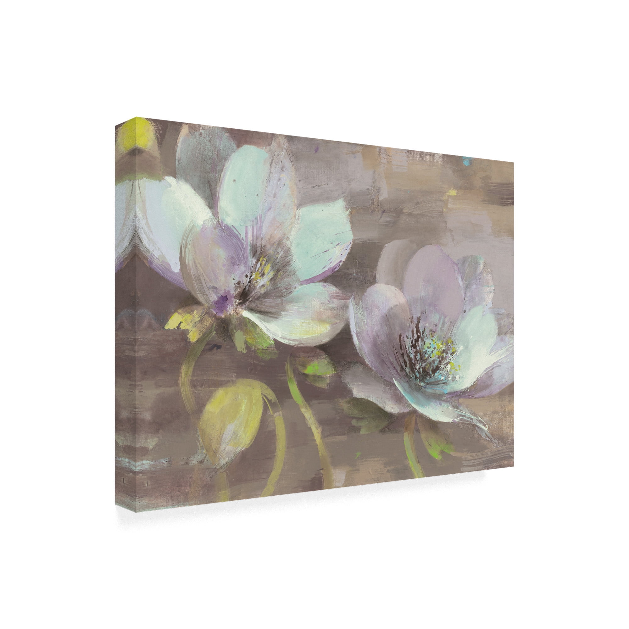 Trademark Fine Art 'Jump White Flowers' Canvas Art by Albena Hristova