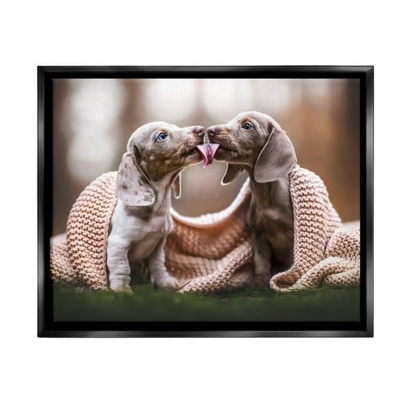 Stupell Industries Puppies with Blanket Animals & Insects Painting Black Floater Framed Canvas Art Print Wall Art, 21 x 17