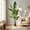 Black (DIY Pot), variant on Easy4Home 4FT Artificial Plant Fake Tropical Palm Tree Potted Indoor Faux Floor Plant for Home Office Decor