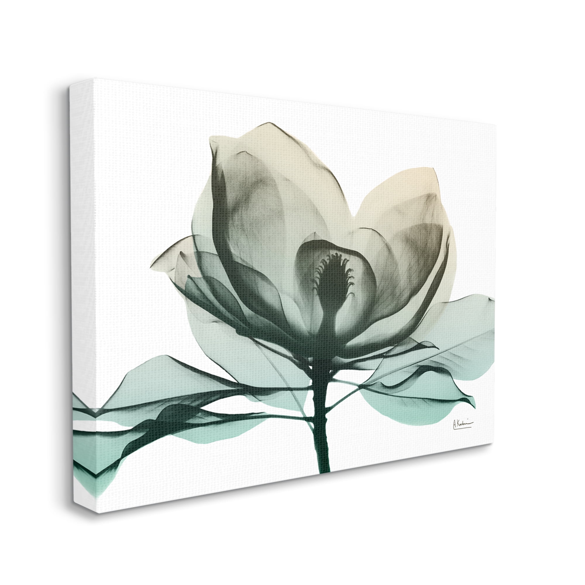 Stupell Industries Green X-Ray Flower Botanical & Floral Photography Gallery Wrapped Canvas Print Wall Art, 30 x 24