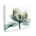 thumbnail image 4 of Stupell Industries Green X-Ray Flower Botanical & Floral Photography Gallery Wrapped Canvas Print Wall Art, 48 x 36, 4 of 8