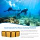 thumbnail image 4 of Greeniant Cinturón ajustable portátil de bolsillo para peso de buceo profundo para hombres y mujeres profesionales, cinturón para pesas Deportes acuáticos 4 bolsillos, 4 of 6