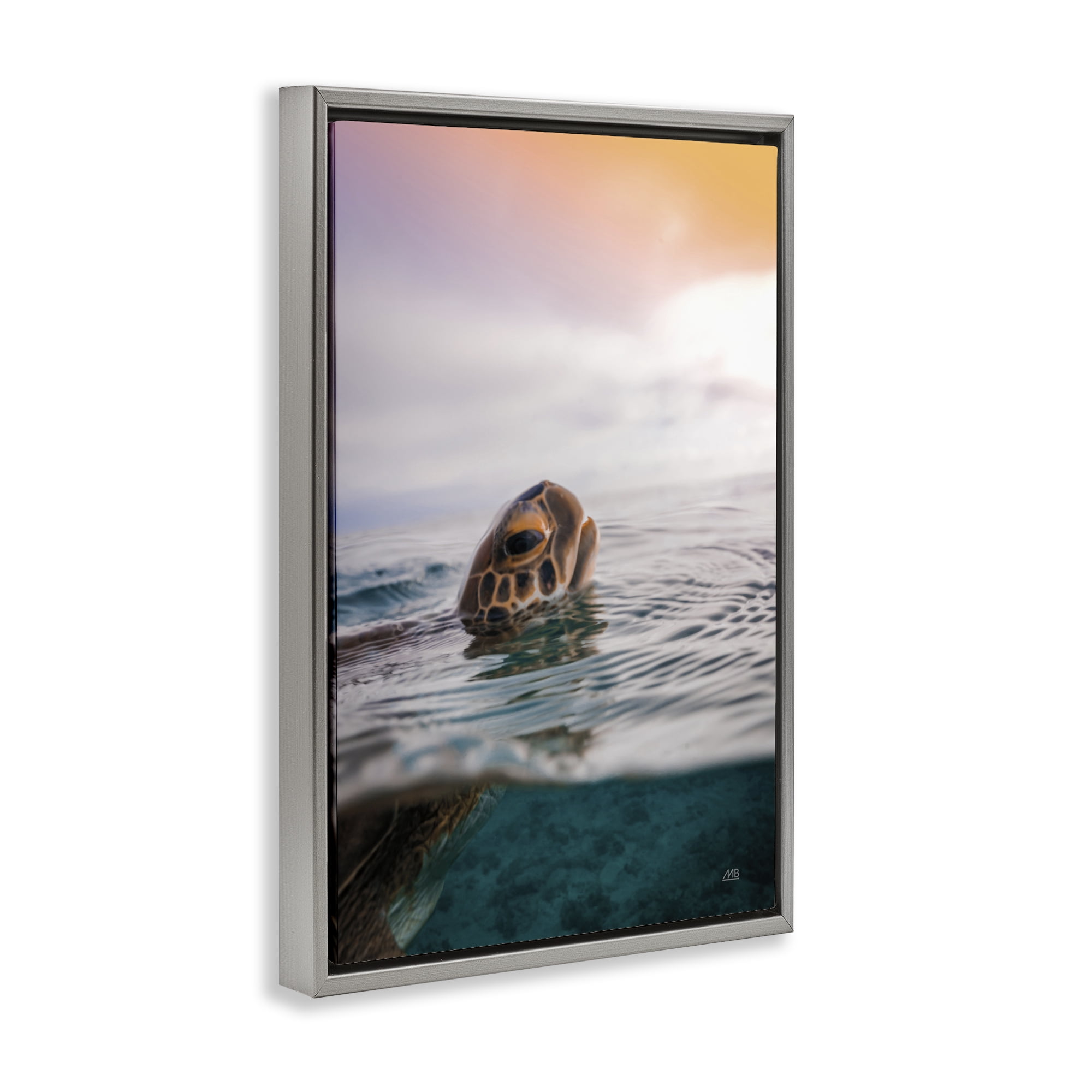 Stupell Industries Turtle Swim at Sunrise Animals Photography Gray Floater Framed Canvas Art Print Wall Art, 21 x 31