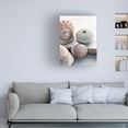thumbnail image 3 of Elena Ray 'Shell Portrait VII' Canvas Art, 3 of 3