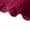 Red, variant on RANJIE Lingerie for Women Babydoll Lace Boyshort Floral Panties Low Rise Ladies Comfortable Underpants Female Cute Charming Women's Underwear,Black