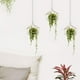 thumbnail image 4 of Soporte de plantas de forma geométrica de Material metálico estante de plantas para Patio jardín sala de estar esquina balcón dormitorio ANGGREK Otros, 4 of 8