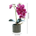 thumbnail image 6 of LShunze Fake Orchids Flowers in Pot Faux Orchids Artificial Flowers Washable Silk Orchid Phalaenopsis Potted Plants for Home Wedding Table Centerpiece Bathroom Office, 6 of 8