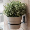 thumbnail image 5 of Gancho para planta de pared, soporte plegable (8 pulgadas) Afortunado Sencillez, 5 of 5