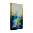 thumbnail image 4 of Trademark Fine Art "Aqua Breeze" Canvas Art by CH Studios, 4 of 4