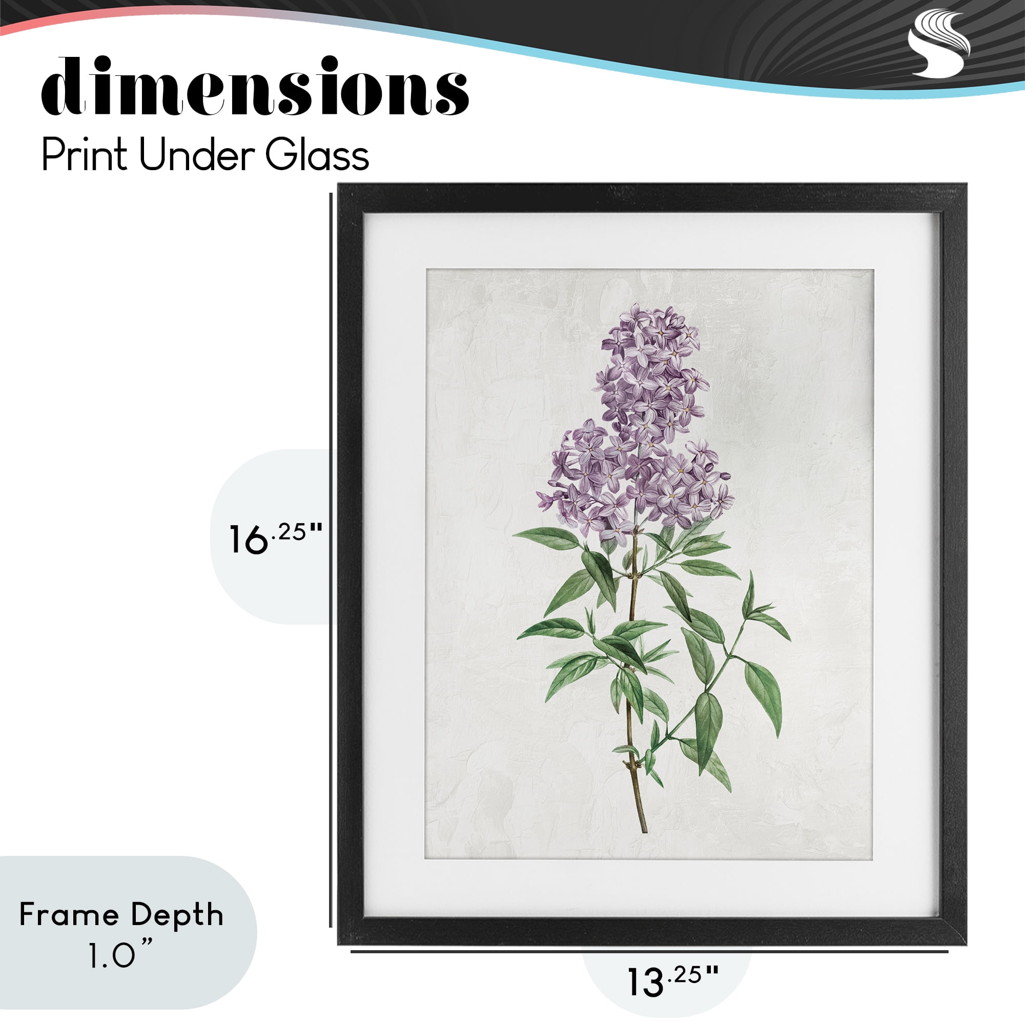 Stupell Industries Lilac Blossoms Blooms Black Framed Print Under Glass, design by Kim Allen