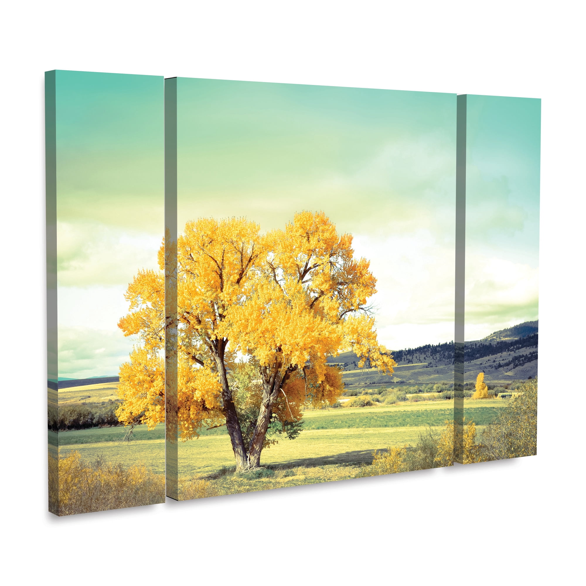 Annie Bailey Art ‘First To Turn’ 3 Panel Wall Art Set