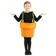 thumbnail image 1 of Toddler Flower Pot Costume, 1 of 3