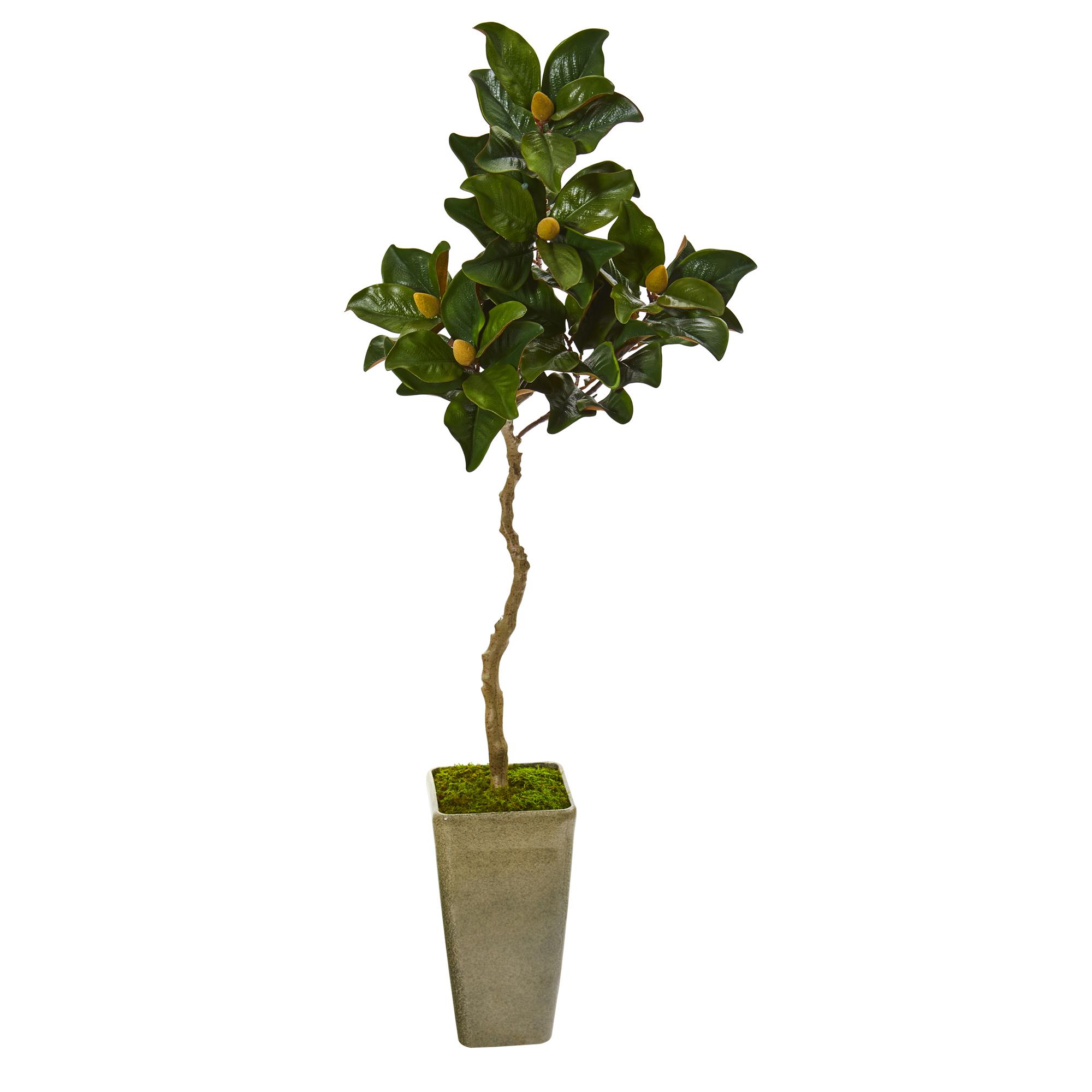 63? Magnolia Artificial Tree in Green Planter
