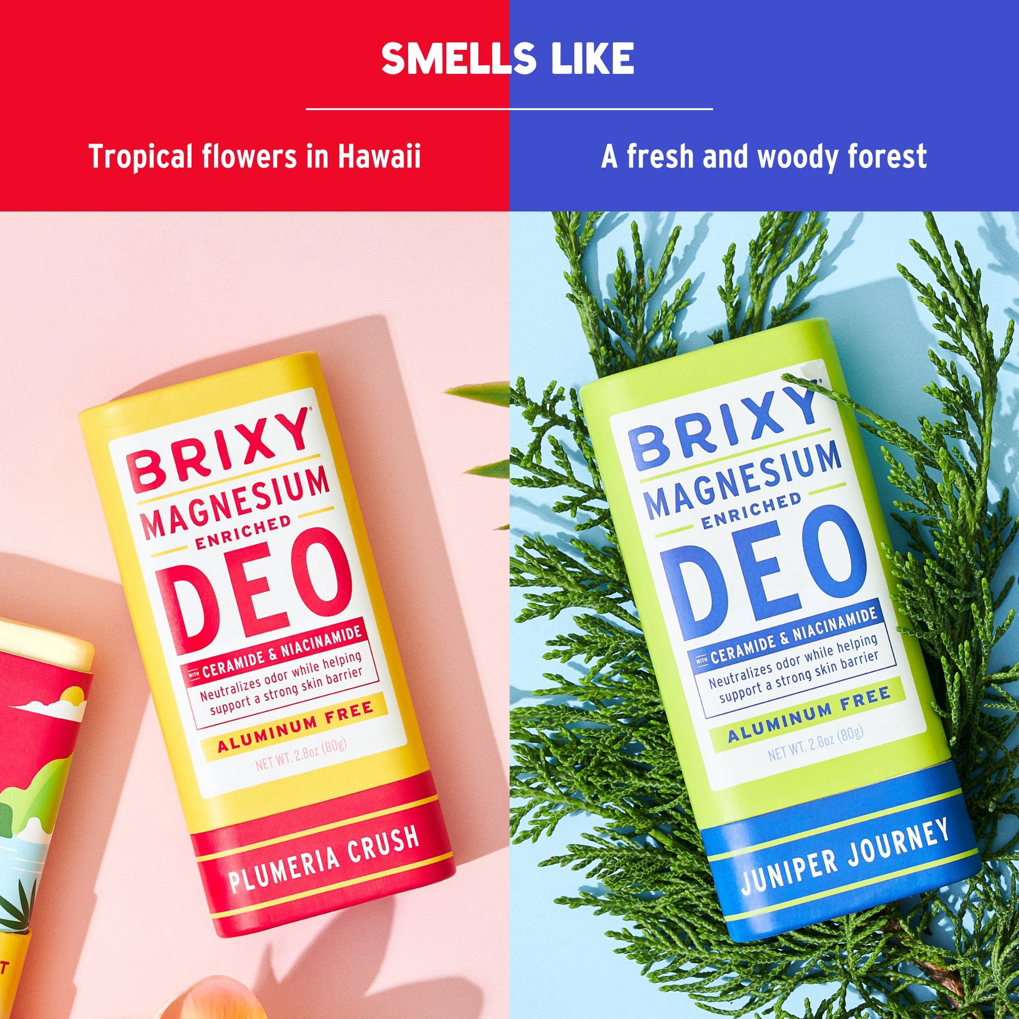 BRIXY Magnesium Deodorant, Odor Control With Ceramide & Niacinamide For Skin Health, Aluminum Free, Baking Soda Free, EWG VERIFIED, Sensitive Skin Deodorant, Vegan, Plastic Free, Light Scent (2 Pack)