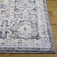 thumbnail image 3 of SAFAVIEH Scarlett Vermont Medallion Area Rug, Dark Grey/Ivory Rust, 9' x 12', 3 of 10