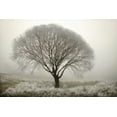 thumbnail image 2 of Vitaly Geyman 44x31 Gallery Wrapped Canvas Wall Art Titled - Tranquility II, 2 of 4