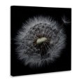 thumbnail image 2 of Stupell Industries Modern Close Up Dandelion Petals Canvas Art, 24 x 24, by Andre Eichman, 2 of 7