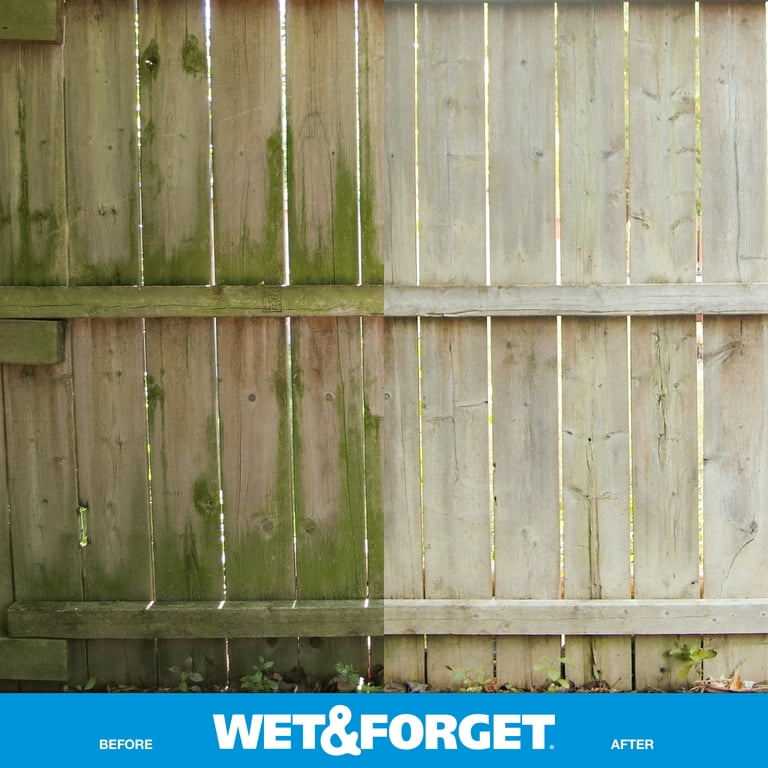  Wet & Forget Removedor de manchas de musgo, moho y algas,  concentrado limpiador para exteriores multisuperficie, original, 64 onzas  líquidas : Salud y Hogar