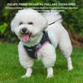 thumbnail image 7 of AIITLE Extra Small Dog Harness, No Pull, Reflective, Adjustable, Breathable, Quick-Release, Black XXS, 7 of 7