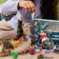 thumbnail image 4 of Advent Calendar Cat Toy Set Countdown Kit Interactive Cattery Supplies Assorted Toys for Small Cats and, 4 of 8