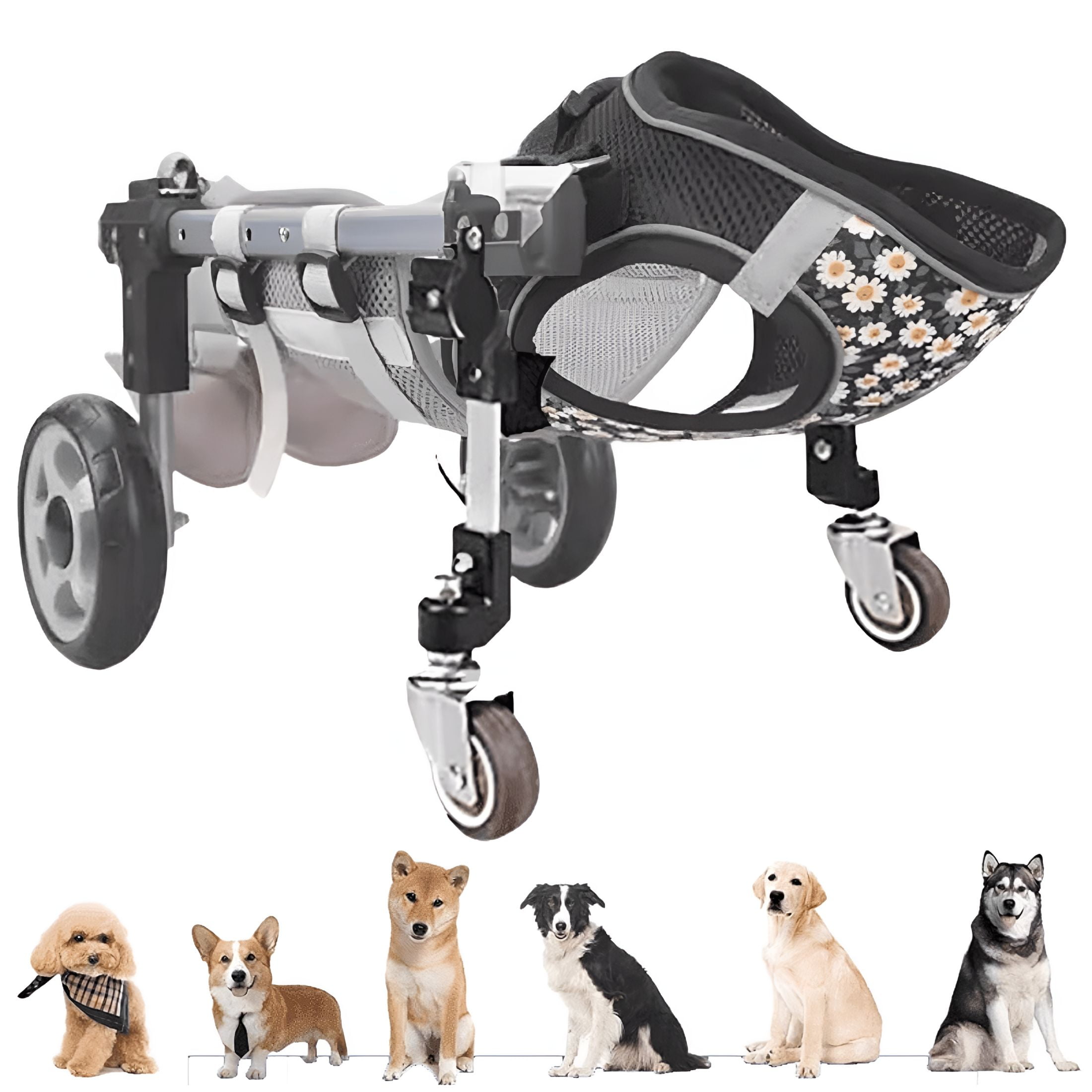 LetPetRun, Adjustable Dog Wheelchair, XXS, Hind Leg Support
